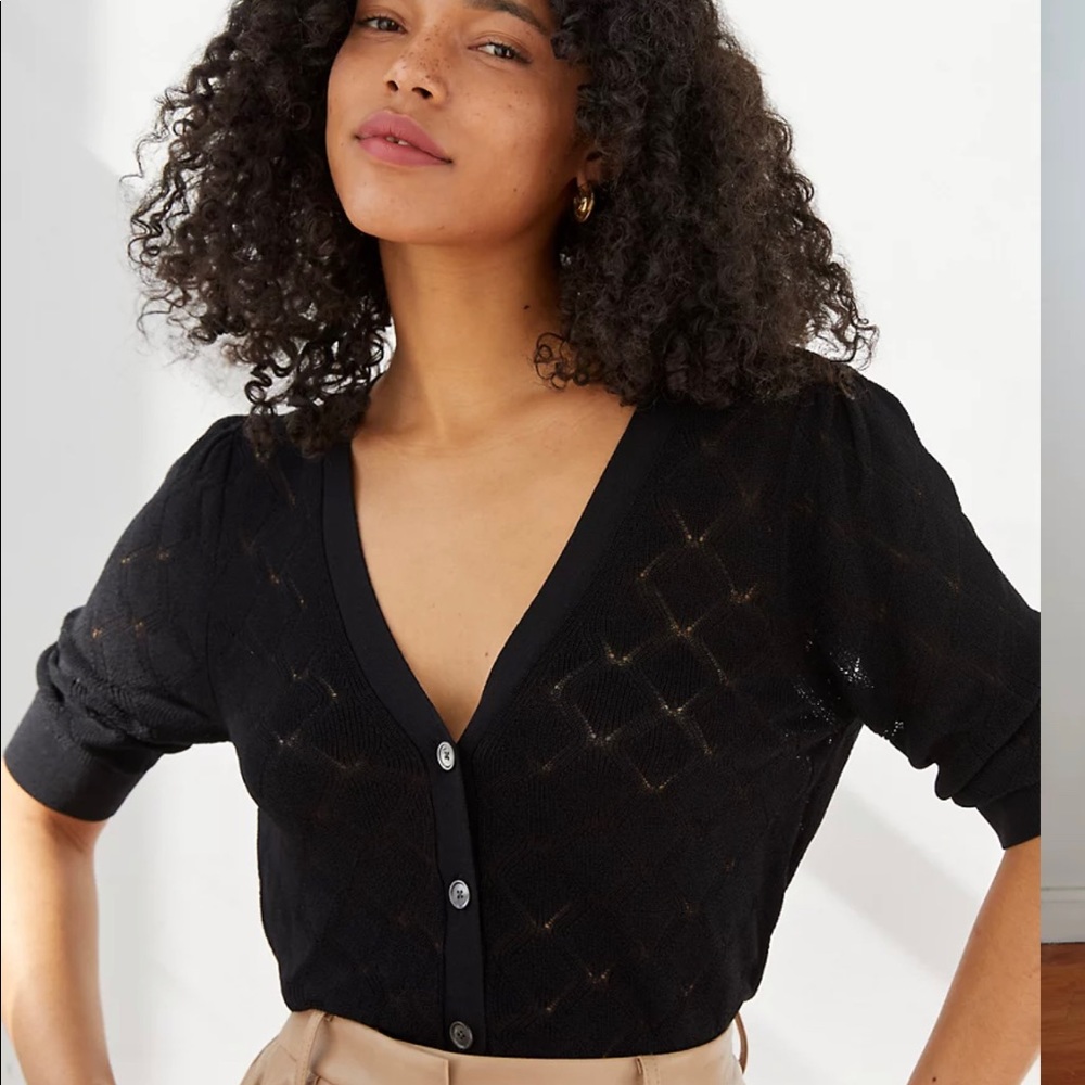 Aritzia Wilfred Dainty Cardigan in Sage and Black